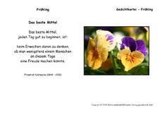 Das-beste-Mittel-Nietzsche.pdf